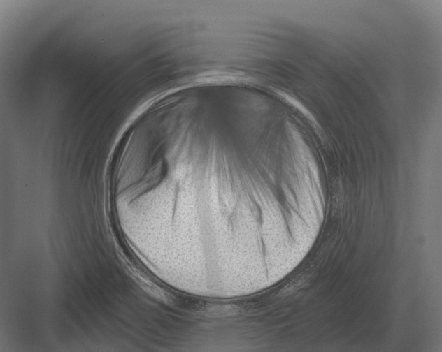 X0000082711467200702161803