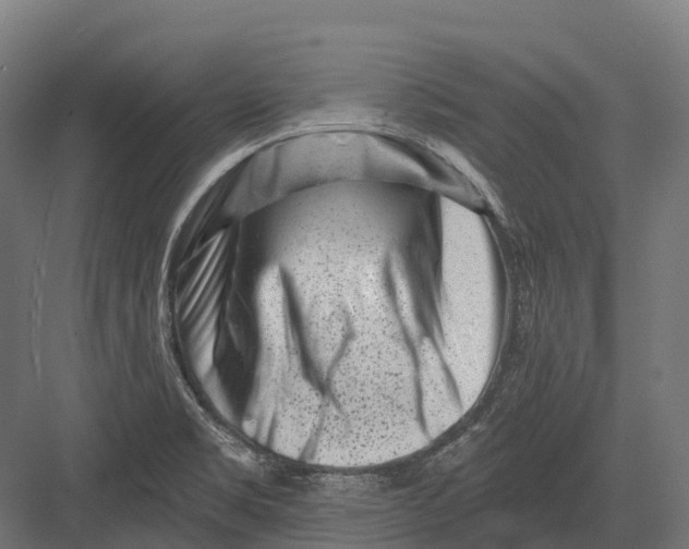 X0000082711469200702161803