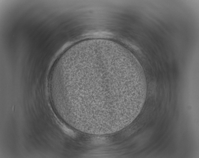 X0000082711470200702161803