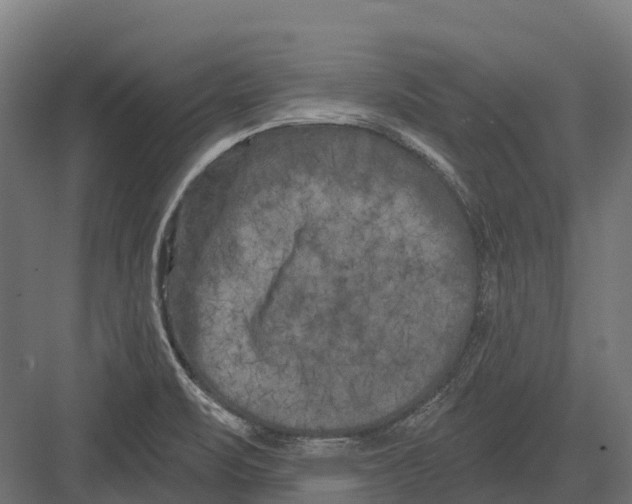 X0000082711471200702161803