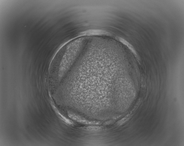 X0000082711473200702161803