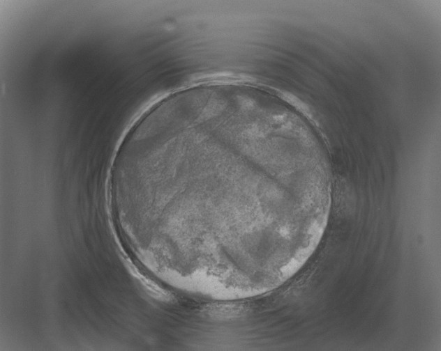 X0000082711474200702161803