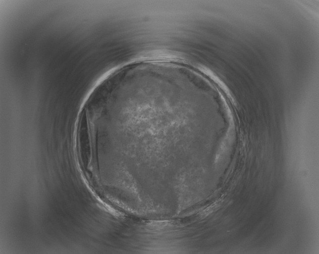 X0000082711477200702161803