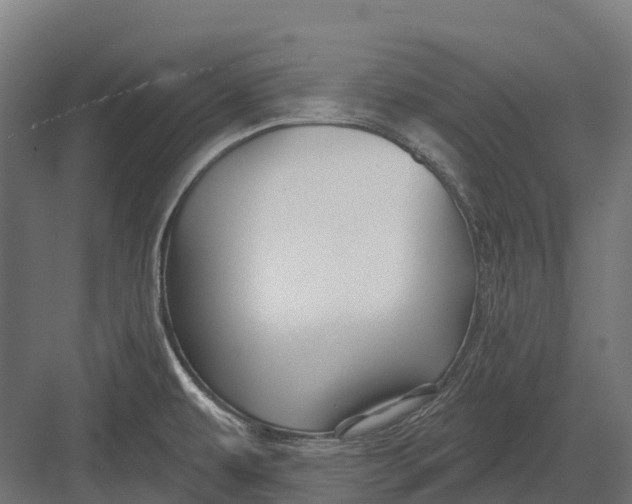 X0000082711479200702161803