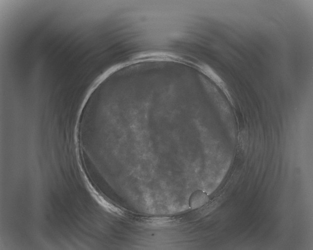 X0000082711482200702161803