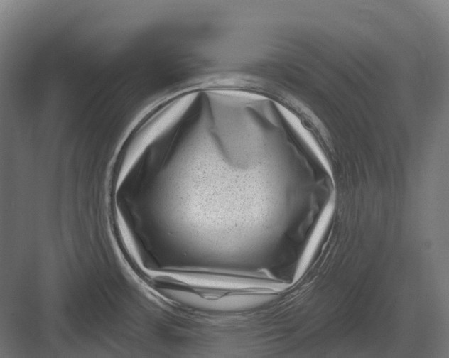 X0000082711483200702161803