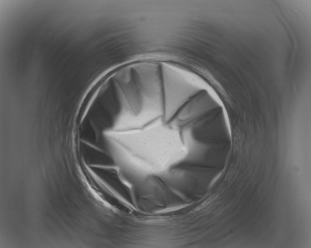 X0000082711484200702161803