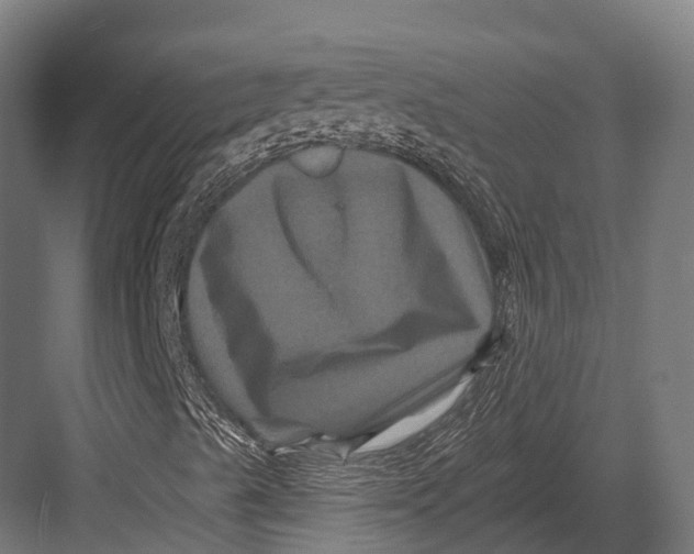 X0000082711489200702161802