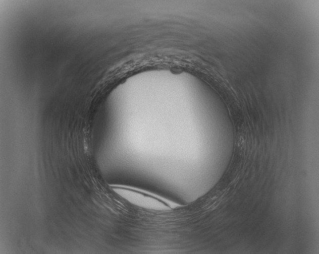 X0000082711490200702161802