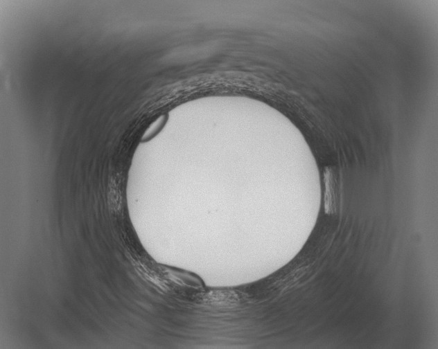 X0000082711491200702161802