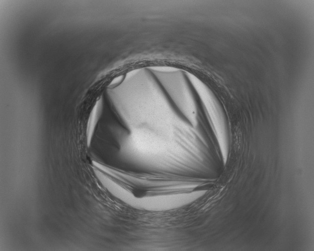 X0000082711494200702161802