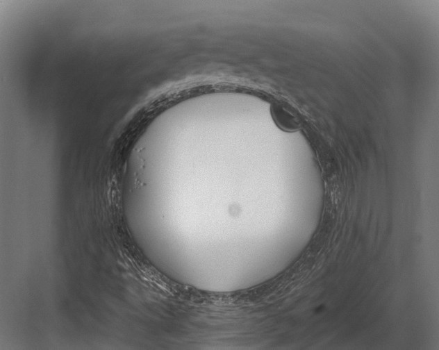 X0000082711495200702161802