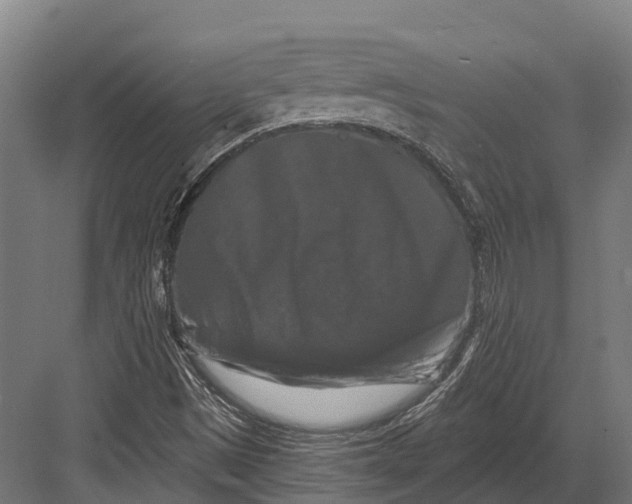 X0000082711497200702161802