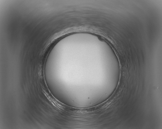 X0000082711499200702161802