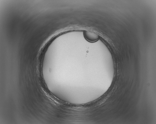 X0000082711502200702161802