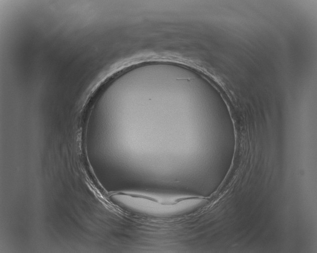 X0000082711503200702161802