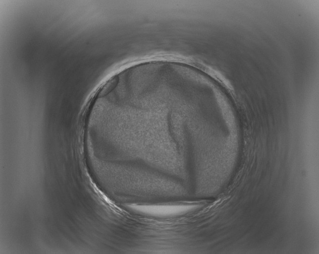 X0000082711504200702161802