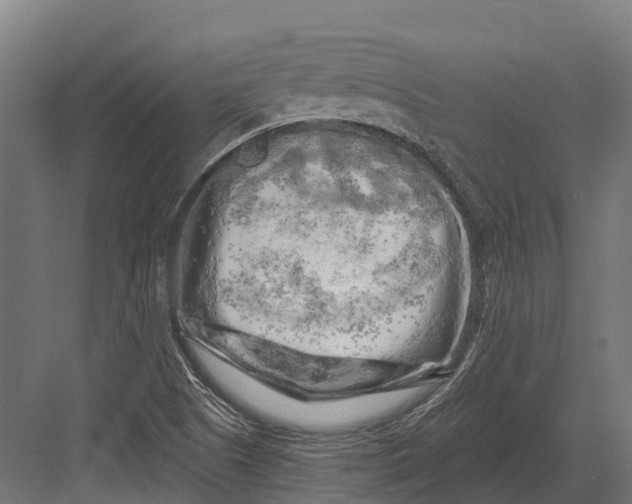 X0000082711505200702161802