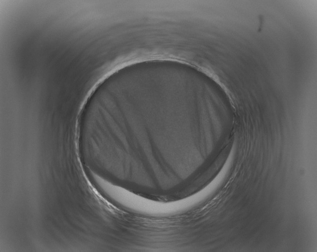 X0000082711508200702161802