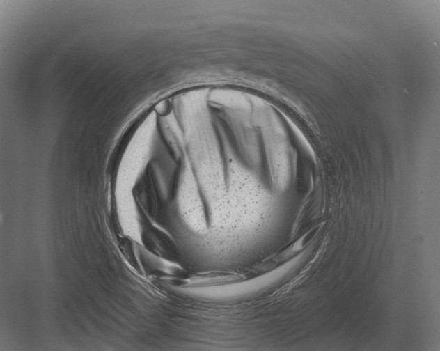 X0000082711509200702161802