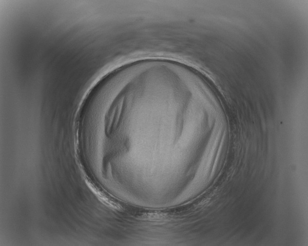 X0000082711511200702161802