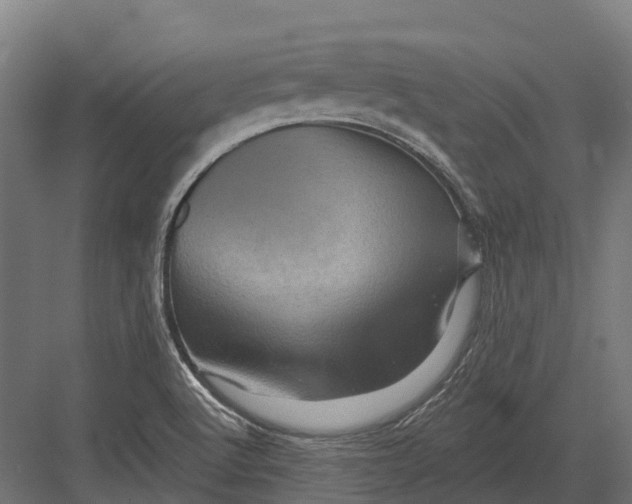 X0000082711512200702161802