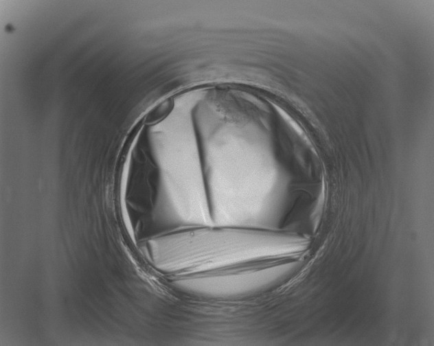 X0000082711513200702161802