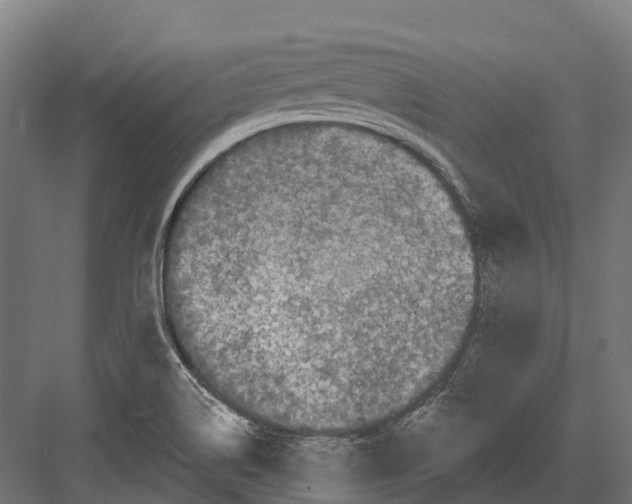 X0000082711514200702161802