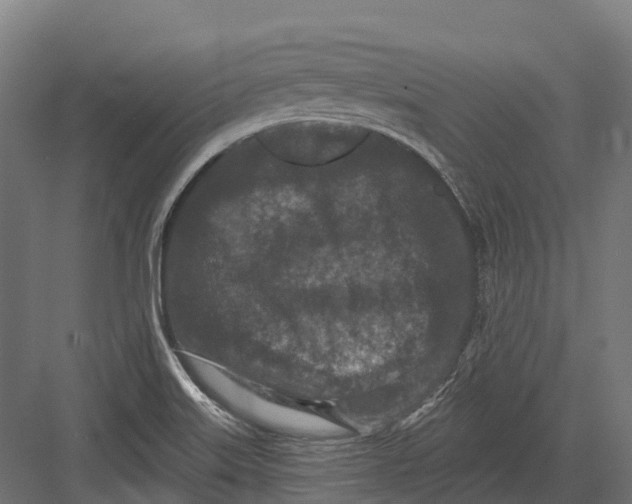 X0000082711515200702161802