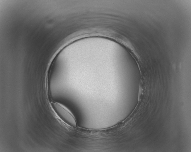 X0000082711516200702161802