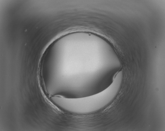 X0000082711518200702161802