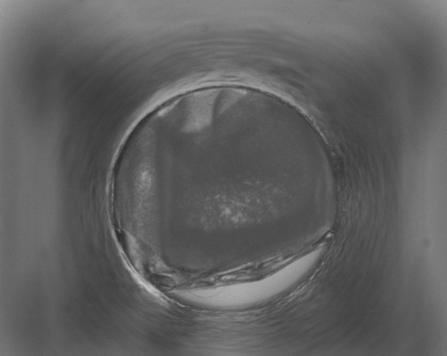 X0000082711519200702161802