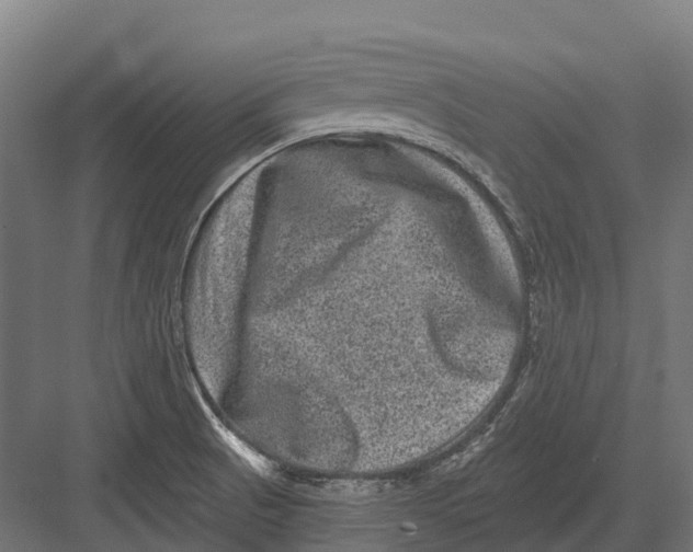 X0000082711521200702161802