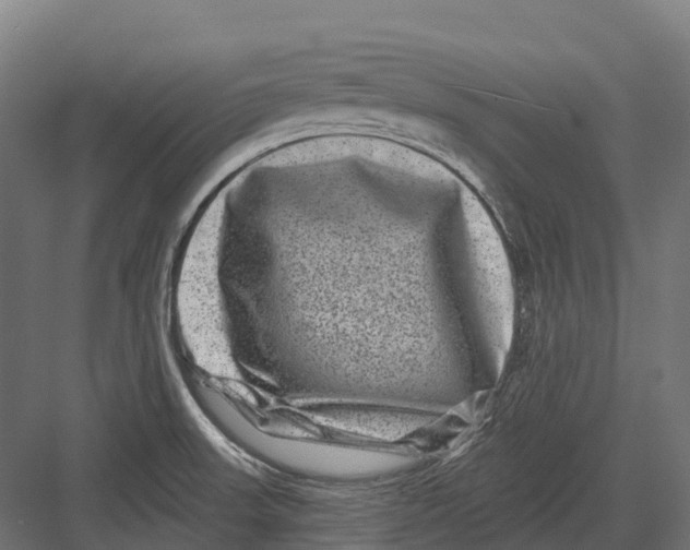 X0000082711523200702161802