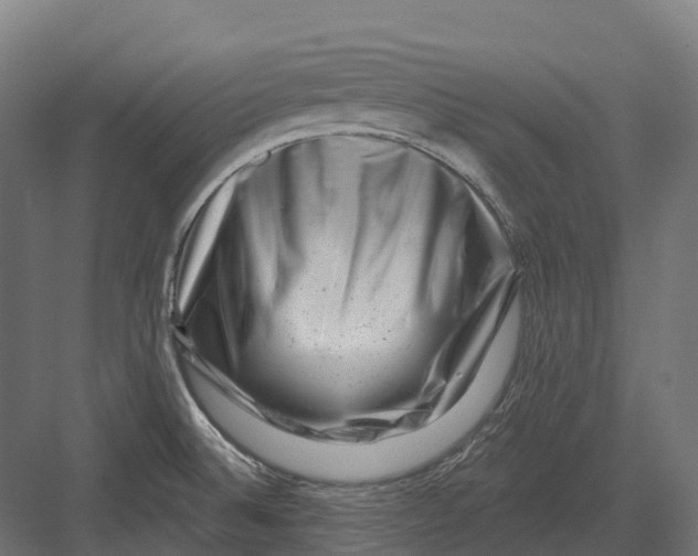 X0000082711524200702161802