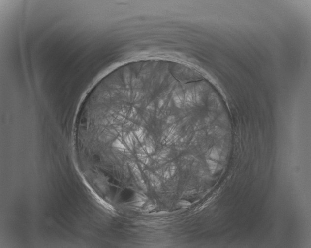 X0000082711525200702161802