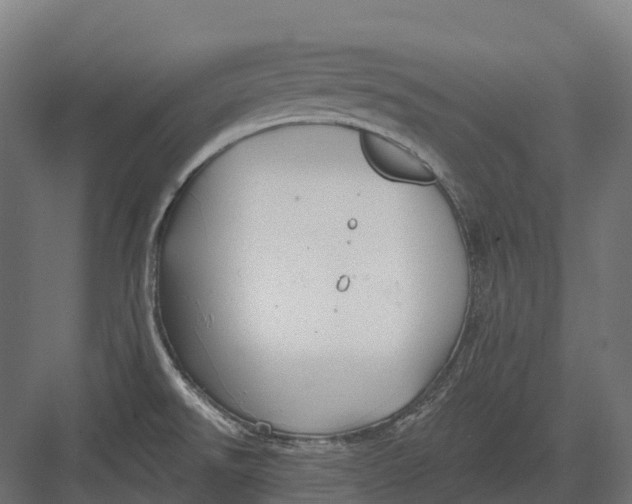 X0000082711526200702161802