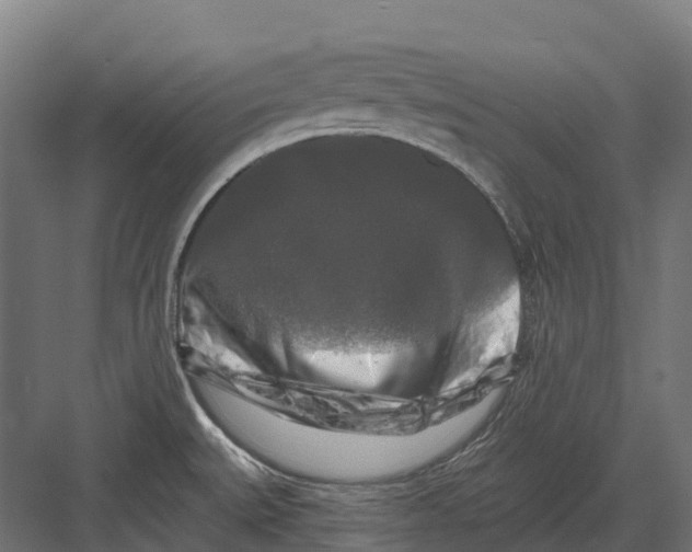 X0000082711527200702161802