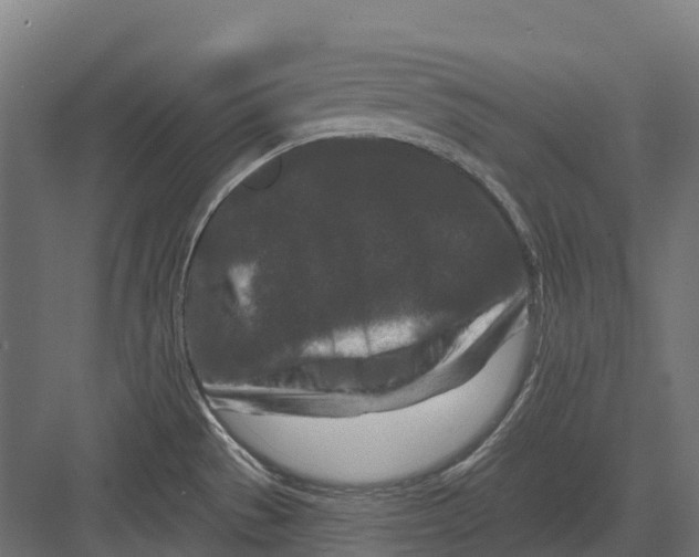 X0000082711529200702161802