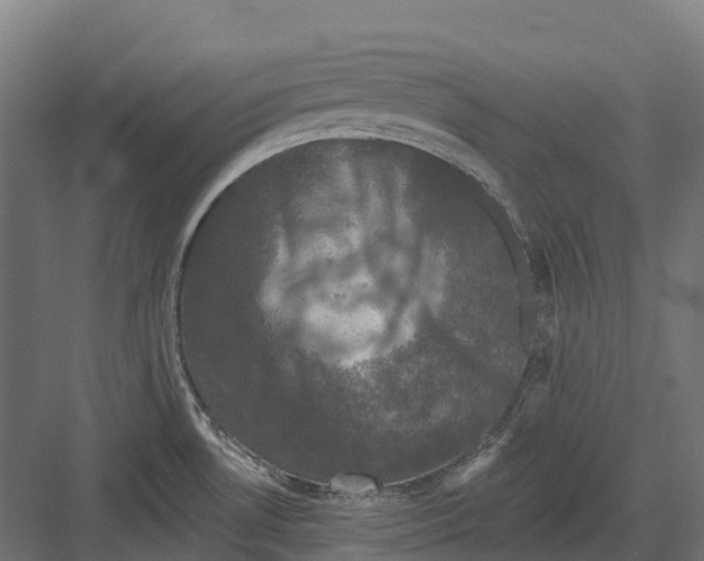 X0000082711530200702161802