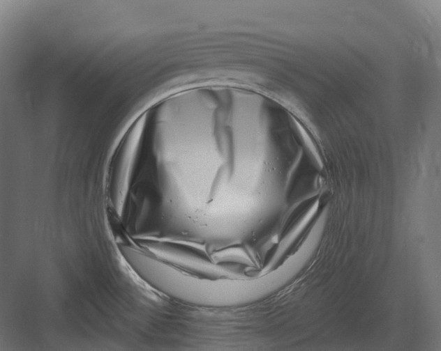 X0000082711532200702161802