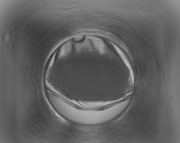 X0000082711533200702161802