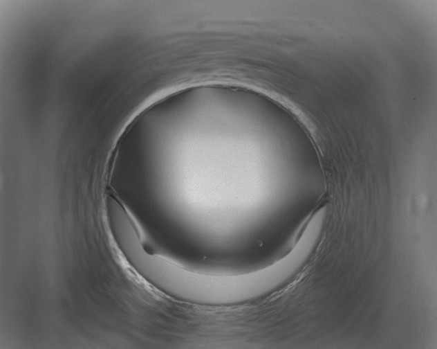 X0000082711534200702161802