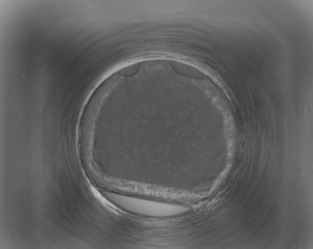 X0000082711535200702161802