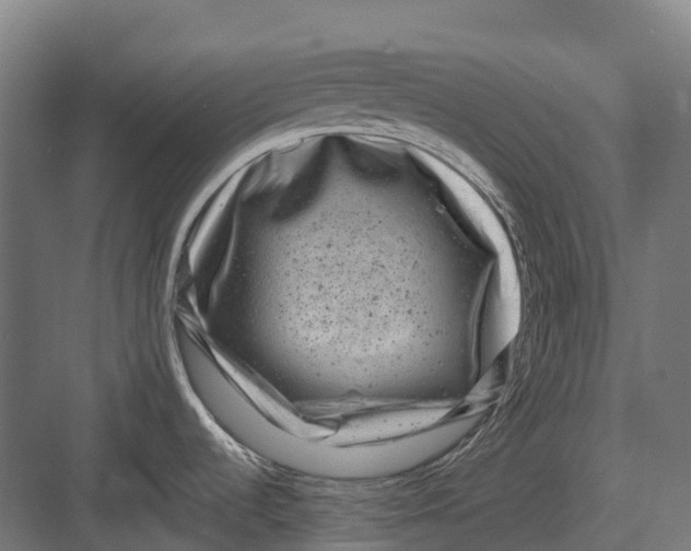 X0000082711536200702161802