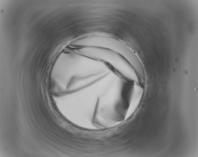 X0000082710001200702232308