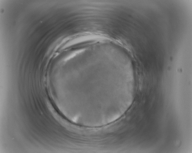 X0000082710002200702232308