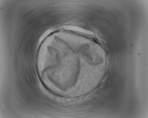 X0000082710003200702232308