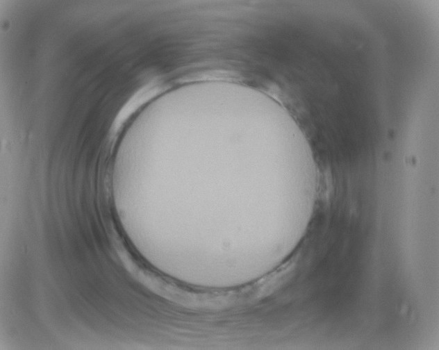 X0000082710004200702232308