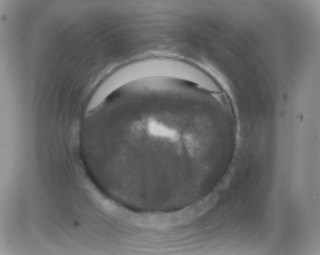 X0000082710009200702232308